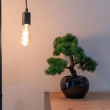 Domus Karalis Ii Gæstehus Cagliari