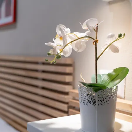 招待所 Domus Karalis Ii 3*